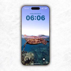 Ningaloo Reef Turtle Wallpaper