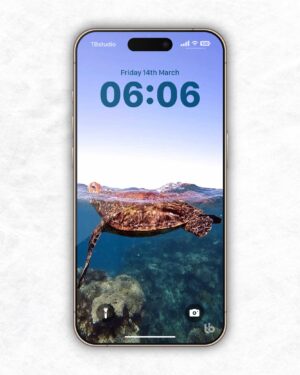 Ningaloo Reef Turtle Wallpaper